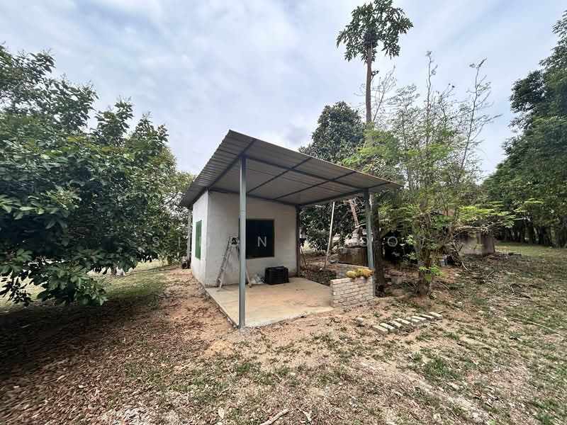 Agricultural Land for Sale in Simpang Gading (Durian Tunggal) - Simon Khoo - Exterior - PropertyGuru.com.my