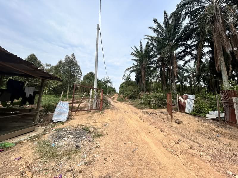 Agricultural Land for Sale in Simpang Gading (Durian Tunggal) - Simon Khoo - Exterior - PropertyGuru.com.my