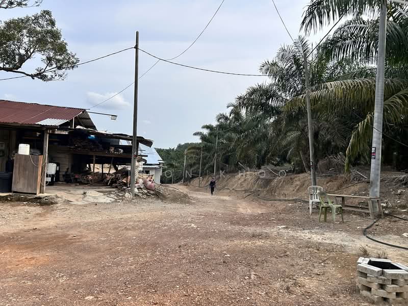 Agricultural Land for Sale in Simpang Gading (Durian Tunggal) - Simon Khoo - Exterior - PropertyGuru.com.my