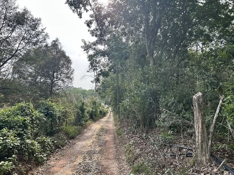 Agricultural Land for Sale in Simpang Gading (Durian Tunggal) - Simon Khoo - Exterior - PropertyGuru.com.my