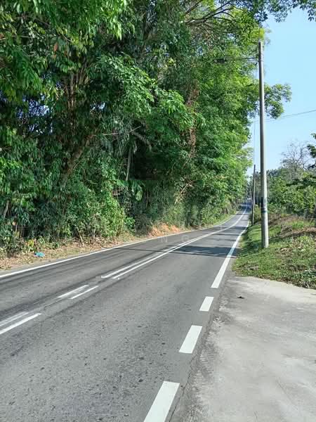 Tanah Pertanian untuk Dijual di Machang Bubok (Bukit Mertajam) - Yee Choi Hong - PropertyGuru.com.my