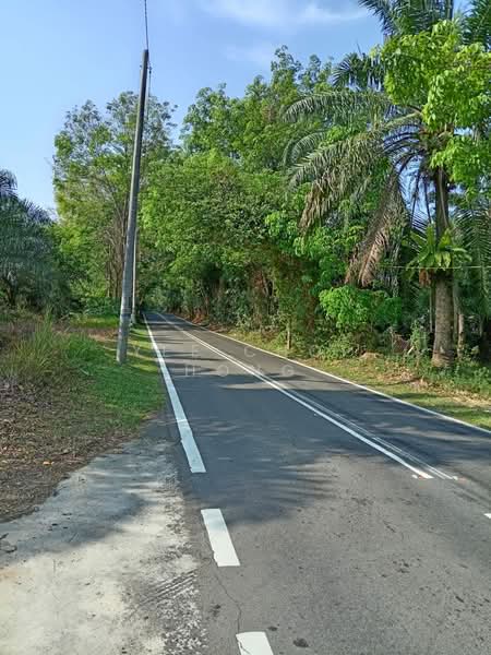 Tanah Pertanian untuk Dijual di Machang Bubok (Bukit Mertajam) - Yee Choi Hong - Exterior - PropertyGuru.com.my