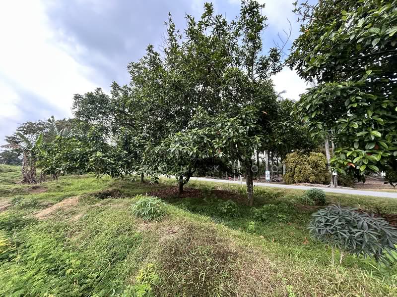Tanah Pertanian untuk Dijual di Ijok (Selangor) - Simon Khoo - Exterior - PropertyGuru.com.my