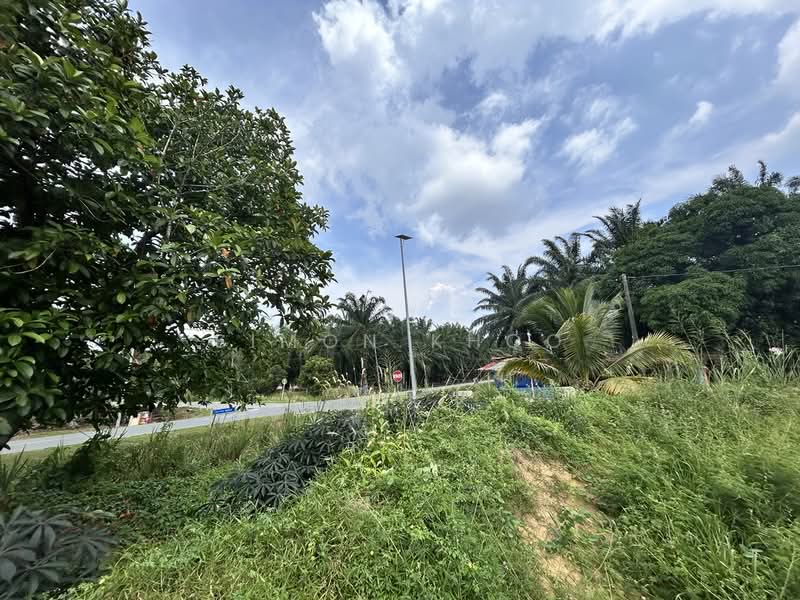 Tanah Pertanian untuk Dijual di Ijok (Selangor) - Simon Khoo - Exterior - PropertyGuru.com.my