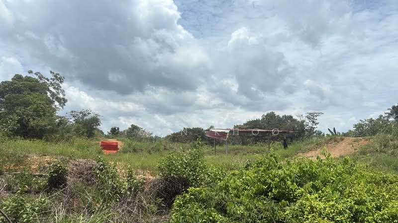 Tanah Pertanian untuk Dijual di Ijok (Selangor) - Simon Khoo - Exterior - PropertyGuru.com.my