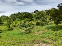 For Sale - Bidor - Sungkai Road