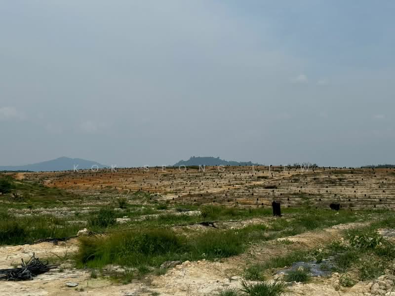 Tanah Pertanian untuk Dijual di Pulau Indah (Klang) - Sean Liew - PropertyGuru.com.my