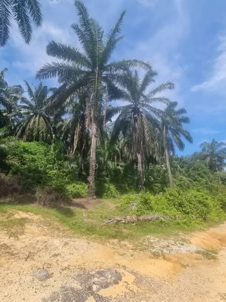 Tanah Pertanian untuk Dijual di Rantau (Negeri Sembilan) - David Cheok - PropertyGuru.com.my