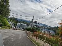 For Sale - Desa Anthurium