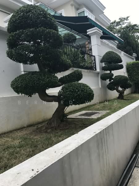 Rumah Banglo untuk Disewa di Tropicana Indah (Kota Damansara) - Bernard Wong - PropertyGuru.com.my