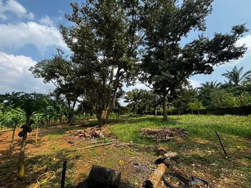 Tanah Pertanian untuk Dijual di Kampung Tampin Ka (Linggi) - Alvin Seah - Garden - PropertyGuru.com.my