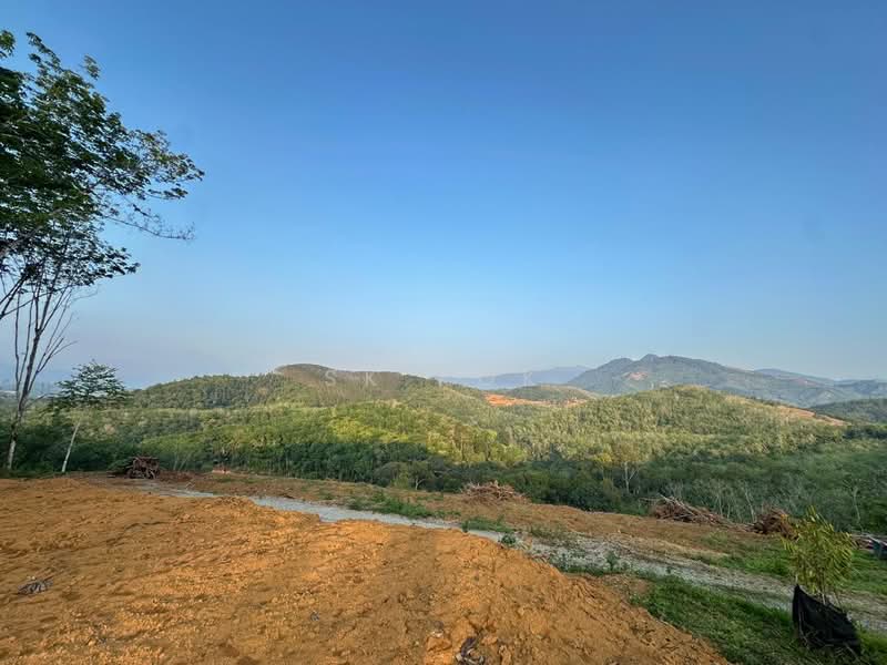 Tanah Pertanian untuk Dijual di Kampung Tanah Merah (Kuala Kangsar) - SK Kok - PropertyGuru.com.my