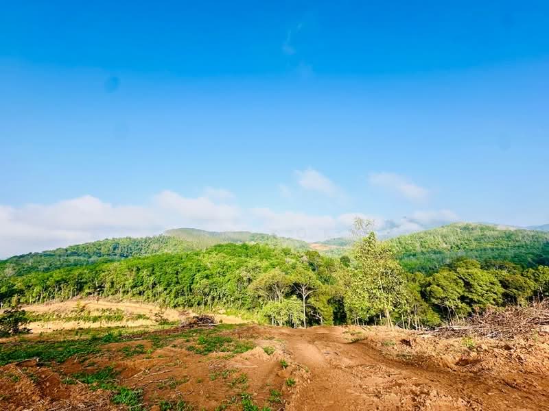 Tanah Pertanian untuk Dijual di Kampung Tanah Merah (Kuala Kangsar) - SK Kok - PropertyGuru.com.my