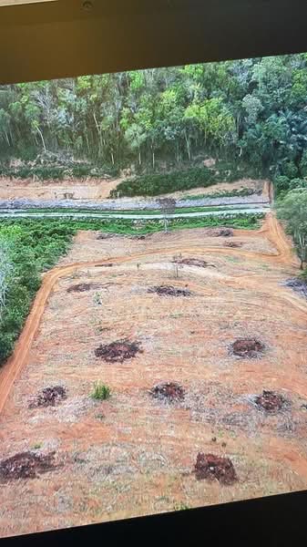 Tanah Pertanian untuk Dijual di Kampung Tanah Merah (Kuala Kangsar) - SK Kok - PropertyGuru.com.my