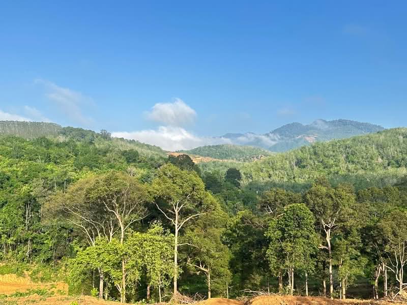 Tanah Pertanian untuk Dijual di Kampung Tanah Merah (Kuala Kangsar) - SK Kok - PropertyGuru.com.my