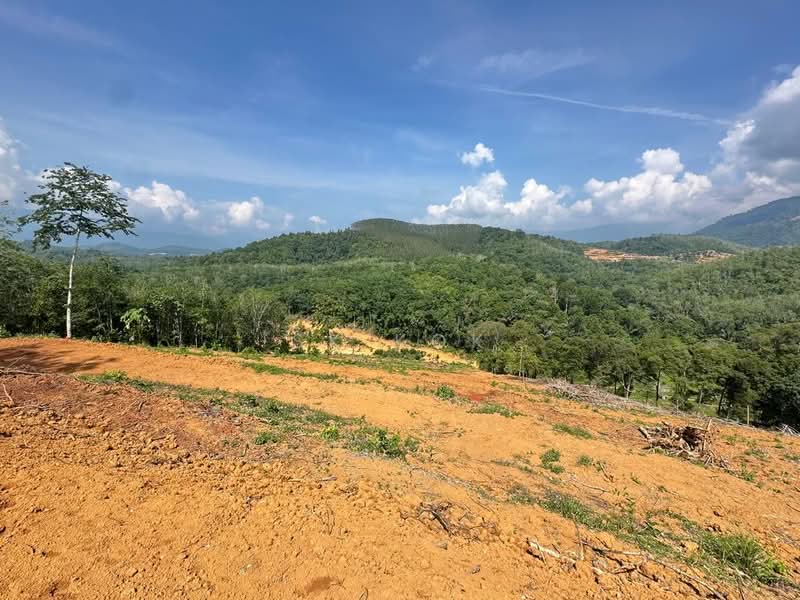 Tanah Pertanian untuk Dijual di Kampung Tanah Merah (Kuala Kangsar) - SK Kok - PropertyGuru.com.my