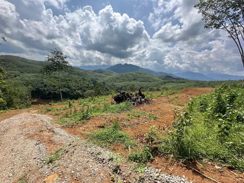 Tanah Pertanian untuk Dijual di Kampung Tanah Merah (Kuala Kangsar) - SK Kok - PropertyGuru.com.my