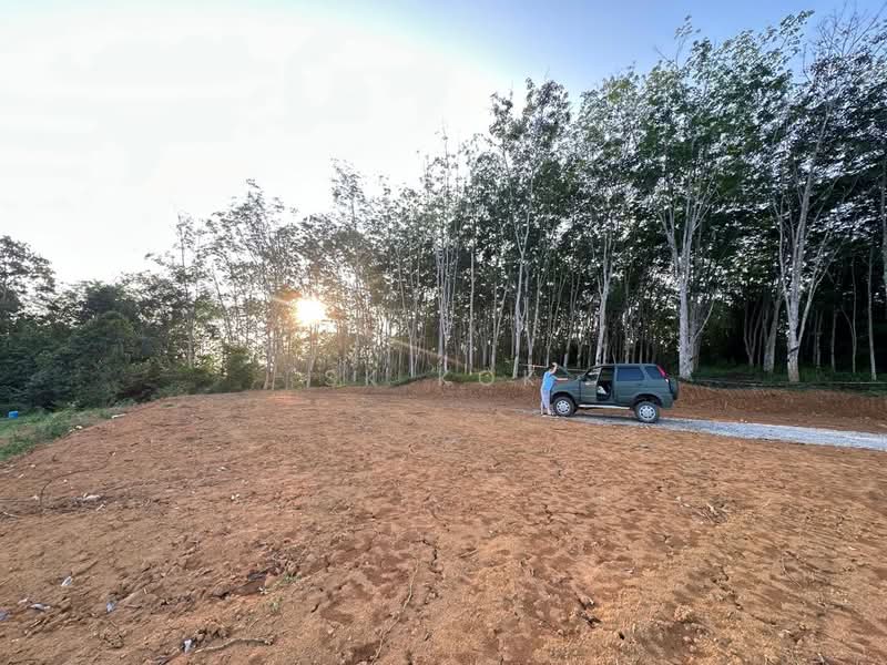 Tanah Pertanian untuk Dijual di Kampung Tanah Merah (Kuala Kangsar) - SK Kok - PropertyGuru.com.my