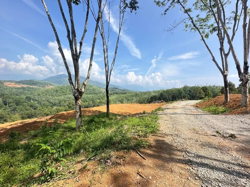 Tanah Pertanian untuk Dijual di Kampung Tanah Merah (Kuala Kangsar) - SK Kok - PropertyGuru.com.my