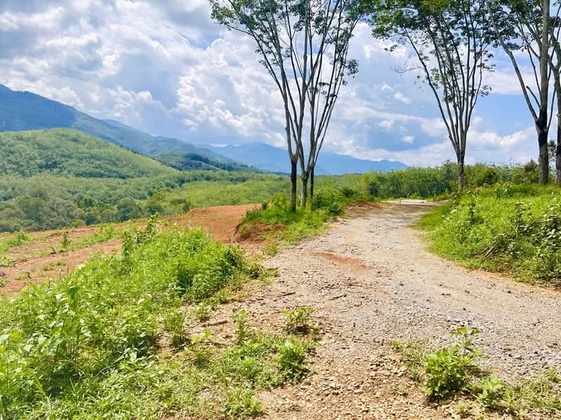 Tanah Pertanian untuk Dijual di Kampung Tanah Merah (Kuala Kangsar) - SK Kok - PropertyGuru.com.my