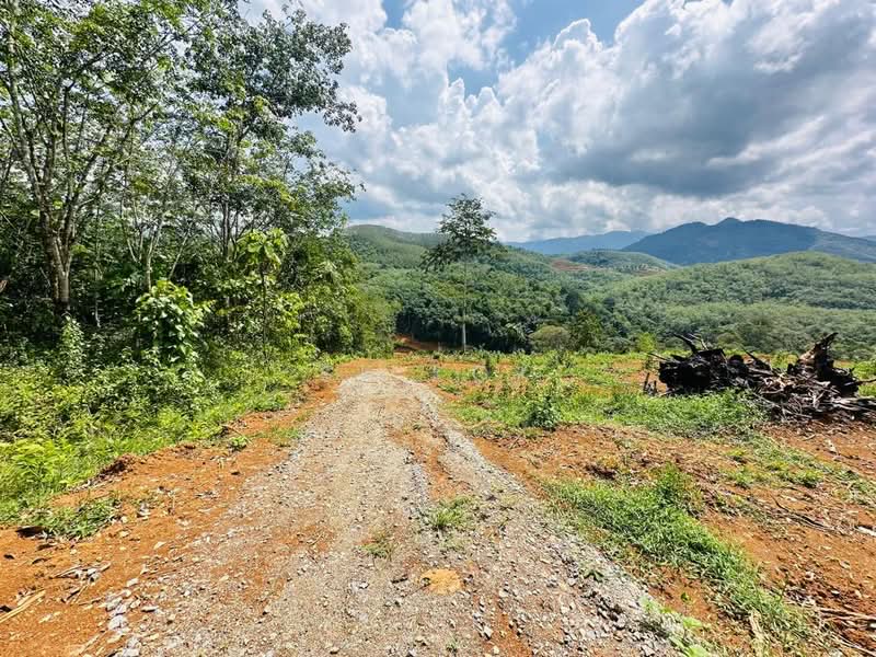 Tanah Pertanian untuk Dijual di Kampung Tanah Merah (Kuala Kangsar) - SK Kok - PropertyGuru.com.my