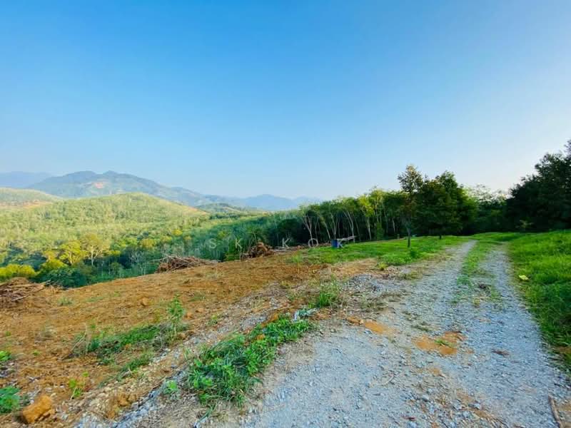 Agricultural Land for Sale in Kampung Tanah Merah (Kuala Kangsar) - SK Kok - PropertyGuru.com.my