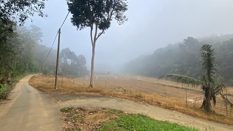 Agricultural Land for Sale in Kampung Tanah Merah (Kuala Kangsar) - SK Kok - PropertyGuru.com.my
