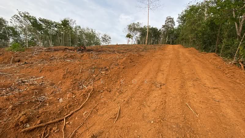 Agricultural Land for Sale in Kampung Tanah Merah (Kuala Kangsar) - SK Kok - PropertyGuru.com.my