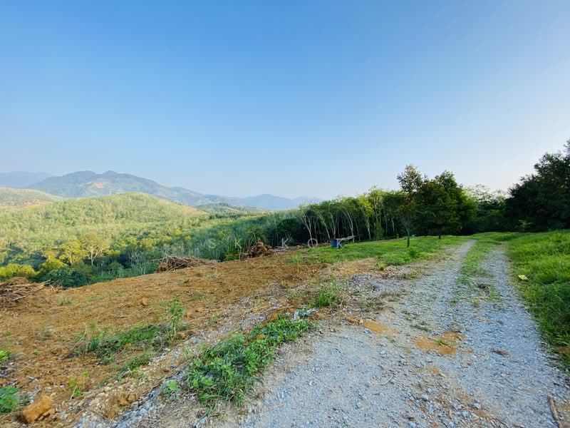 Agricultural Land for Sale in Kampung Tanah Merah (Kuala Kangsar) - SK Kok - PropertyGuru.com.my