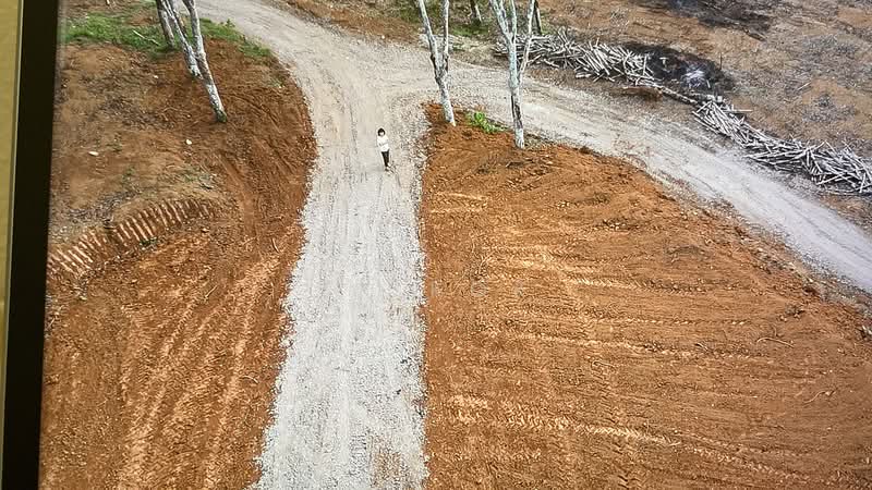 Agricultural Land for Sale in Kampung Tanah Merah (Kuala Kangsar) - SK Kok - PropertyGuru.com.my