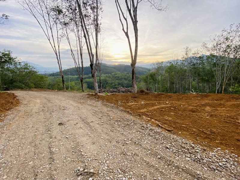 Agricultural Land for Sale in Kampung Tanah Merah (Kuala Kangsar) - SK Kok - PropertyGuru.com.my