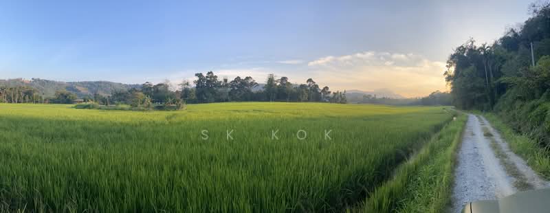 Agricultural Land for Sale in Kampung Tanah Merah (Kuala Kangsar) - SK Kok - PropertyGuru.com.my