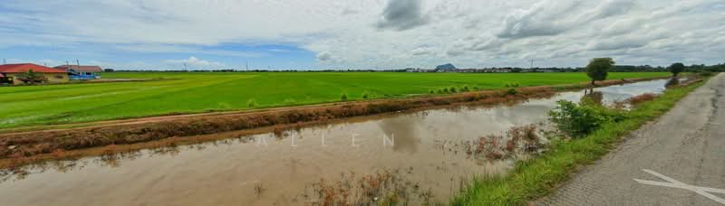 Tanah Pertanian untuk Dijual di Alor Setar (Kedah) - Allen . - Exterior - PropertyGuru.com.my