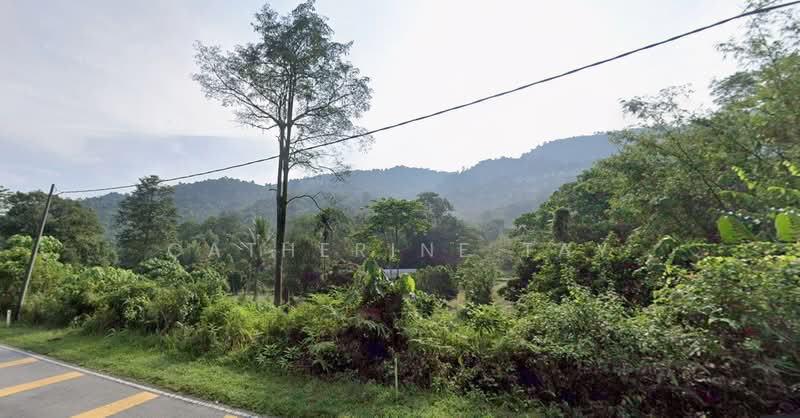 Agricultural Land for Sale in Ulu Yam (Selangor) - Catherine Tay - Exterior - PropertyGuru.com.my
