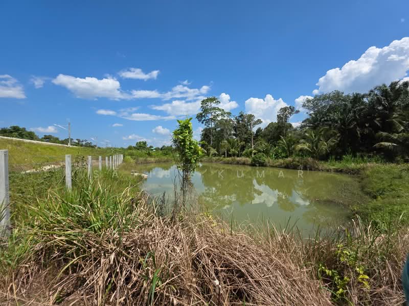 Agricultural Land for Sale in Bentong (Pahang) - Satish Kumar - PropertyGuru.com.my