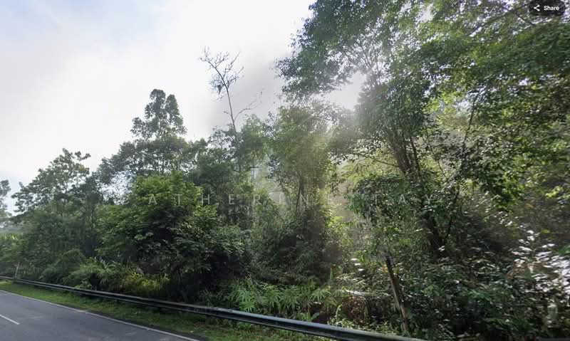 Tanah Pertanian untuk Dijual di Ulu Yam (Selangor) - Catherine Tay - PropertyGuru.com.my