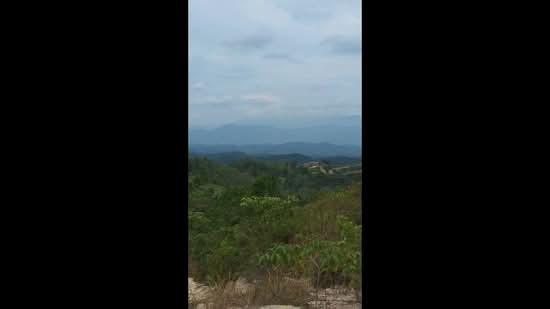 Agricultural Land for Sale in Raub (Pahang) - Satish Kumar - PropertyGuru.com.my