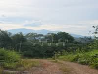 For Sale - Raub