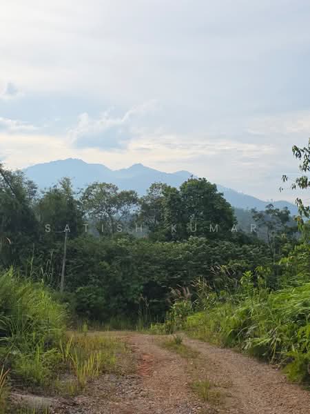 Agricultural Land for Sale in Raub (Pahang) - Satish Kumar - PropertyGuru.com.my
