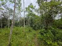 For Sale - Raub