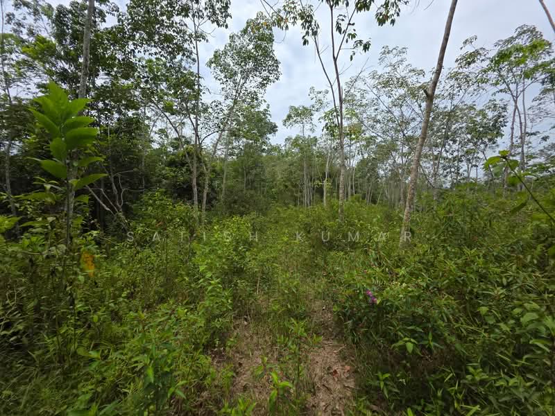 For Sale - Raub