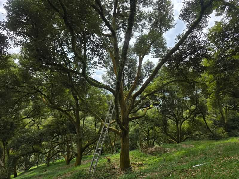 For Sale - Bandar Tras