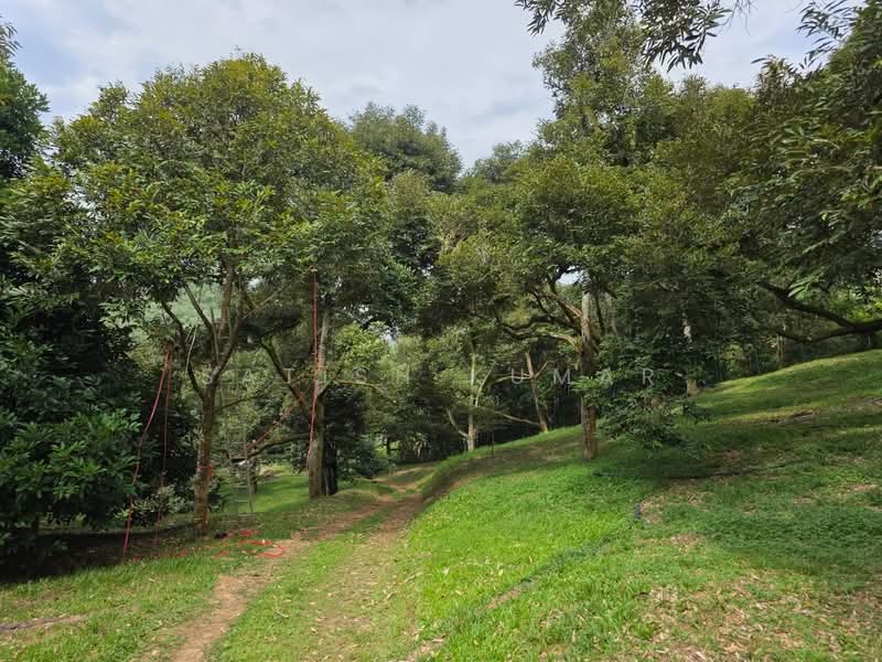 For Sale - Bandar Tras