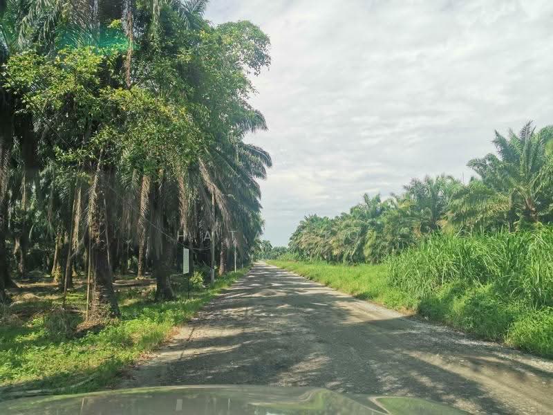 Tanah Perindustrian untuk Dijual di Banting (Selangor) - Hata Teo - Exterior - PropertyGuru.com.my