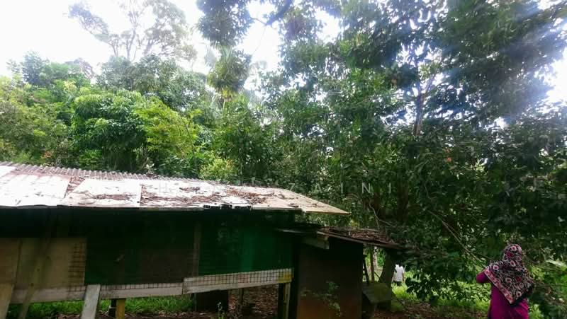 Tanah Pertanian untuk Dijual di Port Dickson (Negeri Sembilan) - Hana Zaini - Exterior - PropertyGuru.com.my