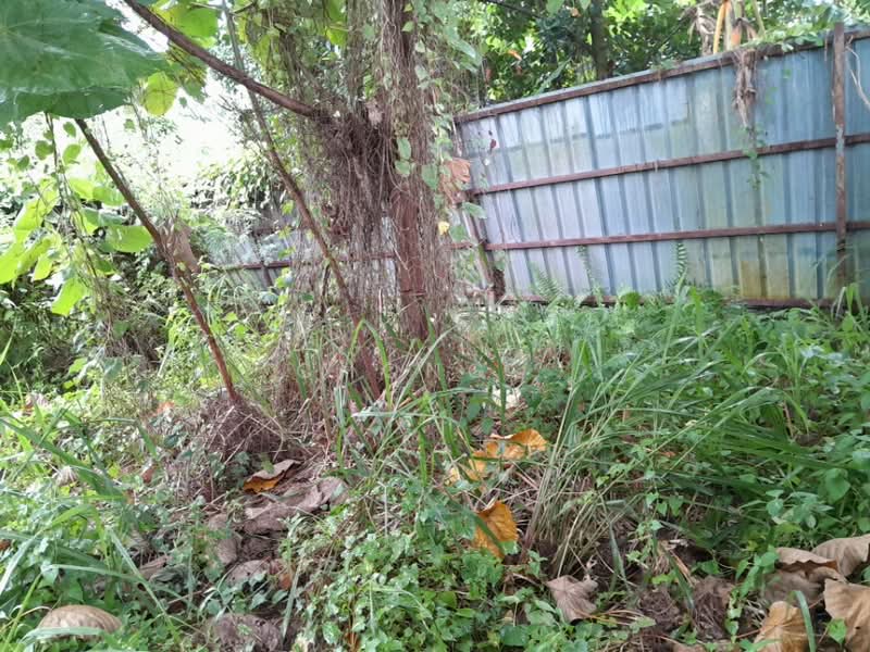 Industrial Land for Rent in Taman Sungai Chua (Kajang) - Chong . - Exterior - PropertyGuru.com.my