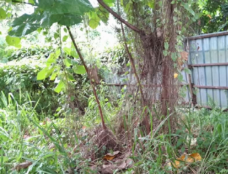 Industrial Land for Rent in Taman Sungai Chua (Kajang) - Chong . - Exterior - PropertyGuru.com.my
