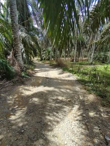 Agricultural Land for Sale in Kota Tinggi (Johor) - Max Loh - Exterior - PropertyGuru.com.my
