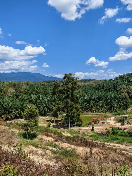 Agricultural Land for Sale in Sungai Siput (Perak) - Kelly Tan - PropertyGuru.com.my