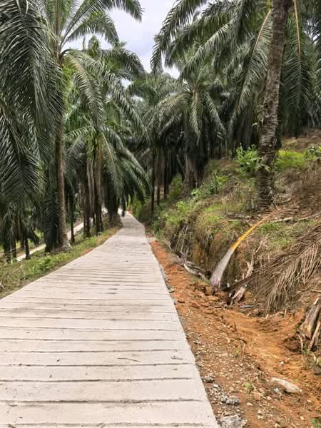 Agricultural Land for Sale in Sungai Siput (Perak) - Kelly Tan - PropertyGuru.com.my